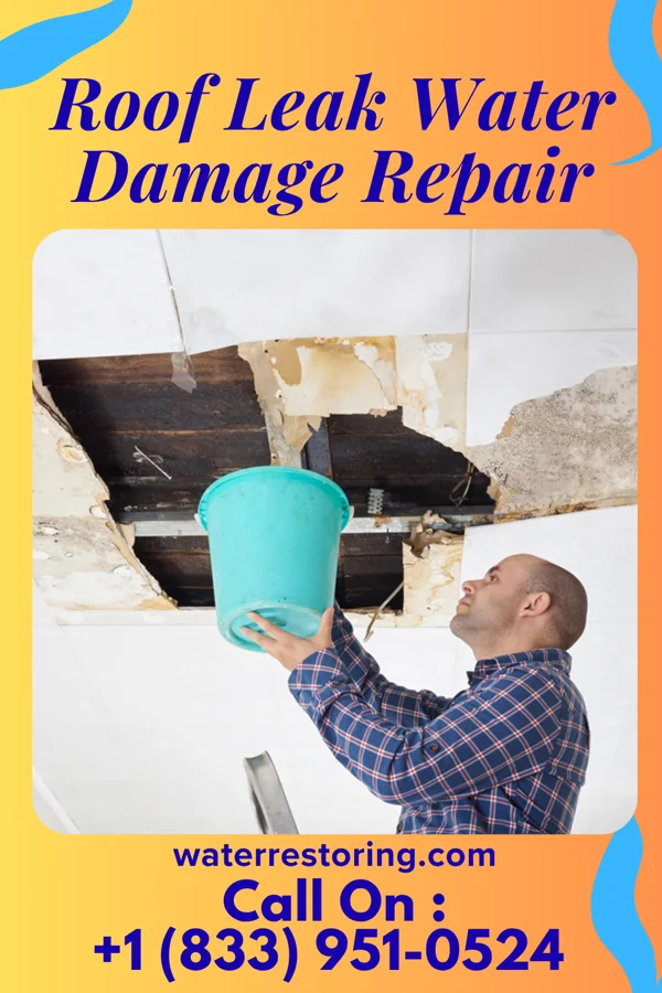 Roof Leak Water Damage Repair in Hamilton, ND