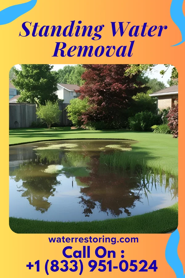 Standing Water Removal in Hamilton, ND